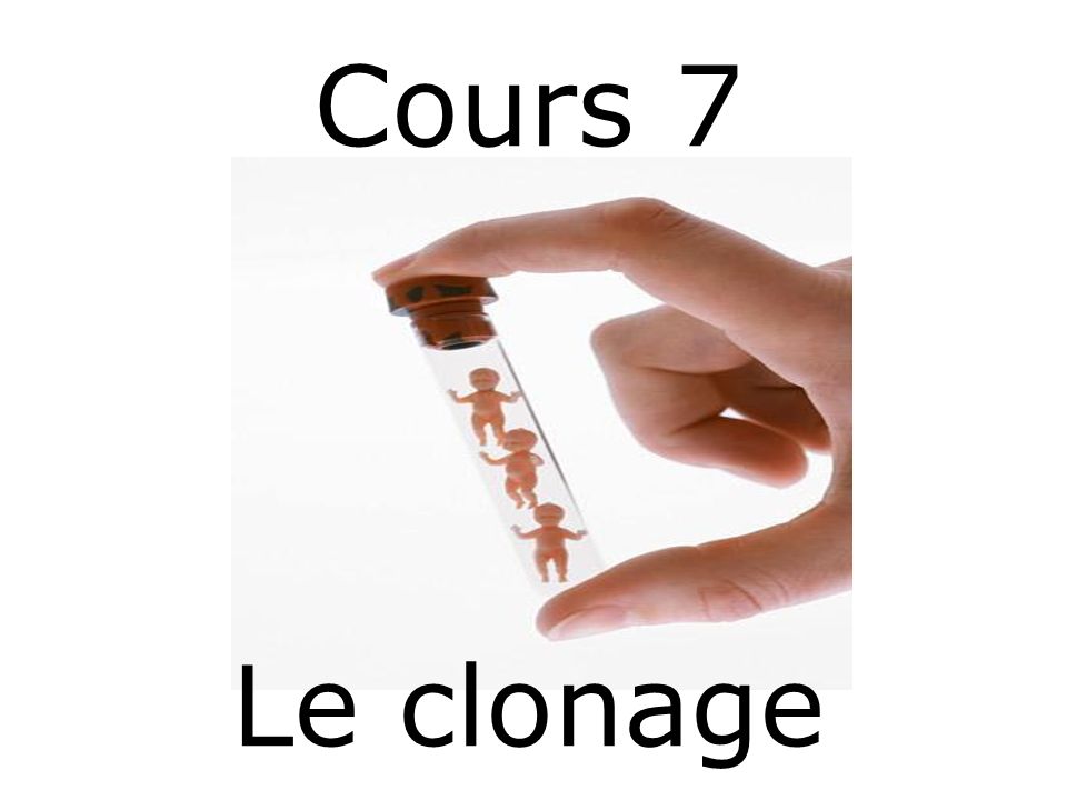 Cours 7 Le clonage