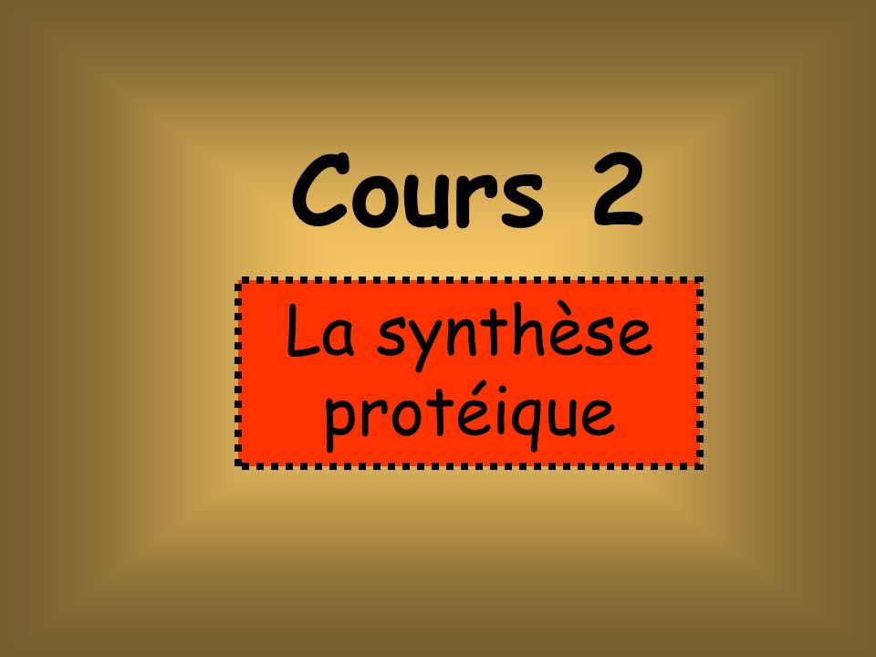 Cours 2 La synthèse protéique