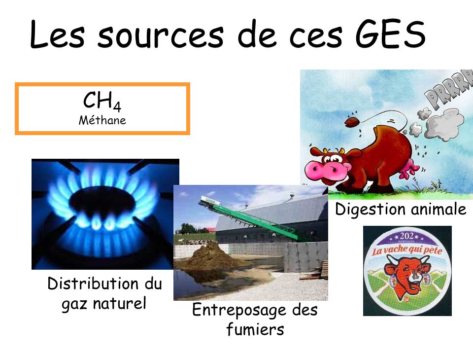 Les sources de ces GES CH4 Digestion animale