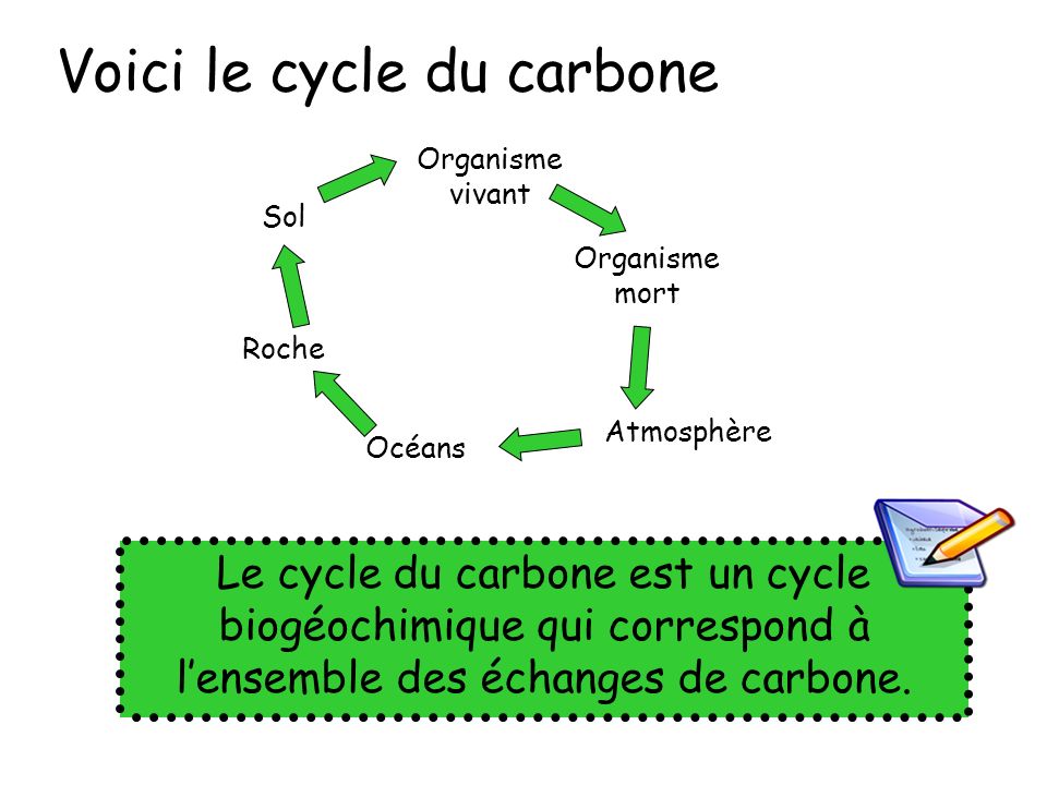 Voici le cycle du carbone