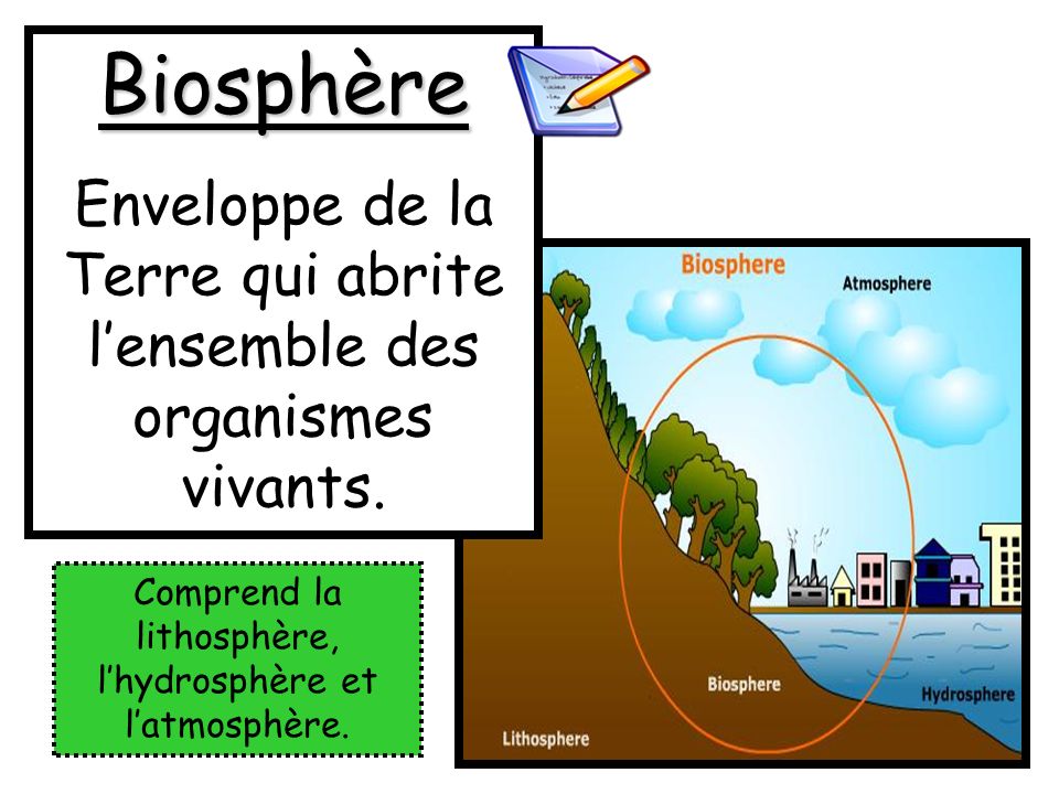 Biosphère Enveloppe de la Terre qui abrite l’ensemble des organismes vivants.