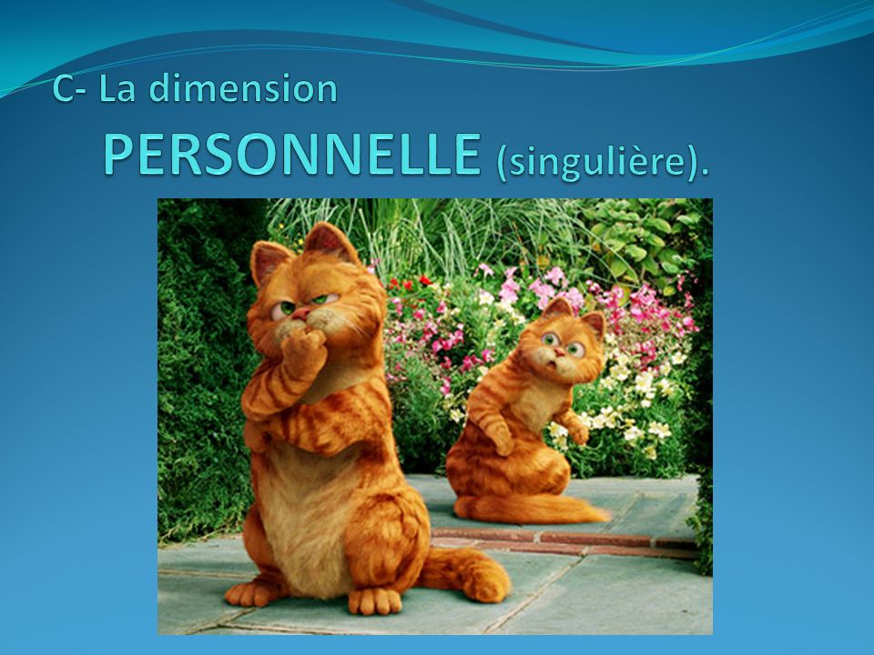 C- La dimension PERSONNELLE (singulière).