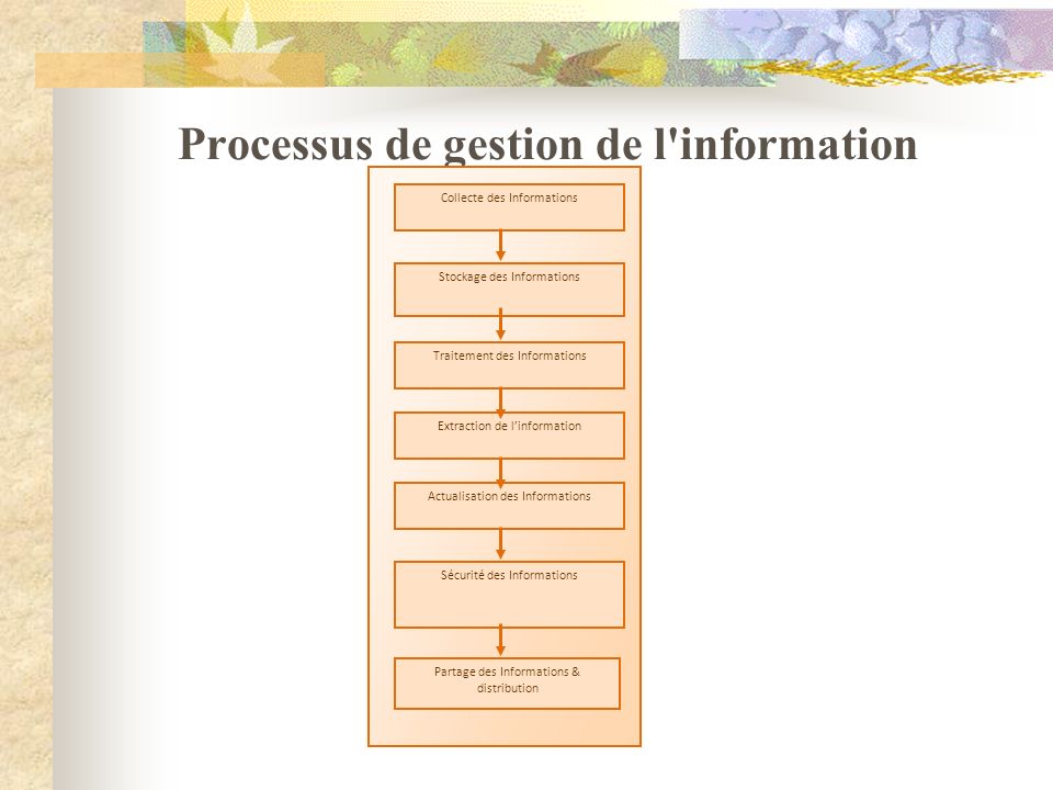 Processus de gestion de l information