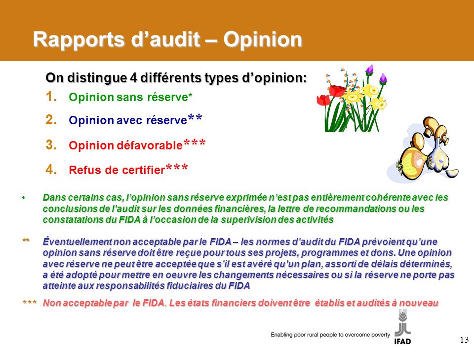 Rapports d’audit – Opinion