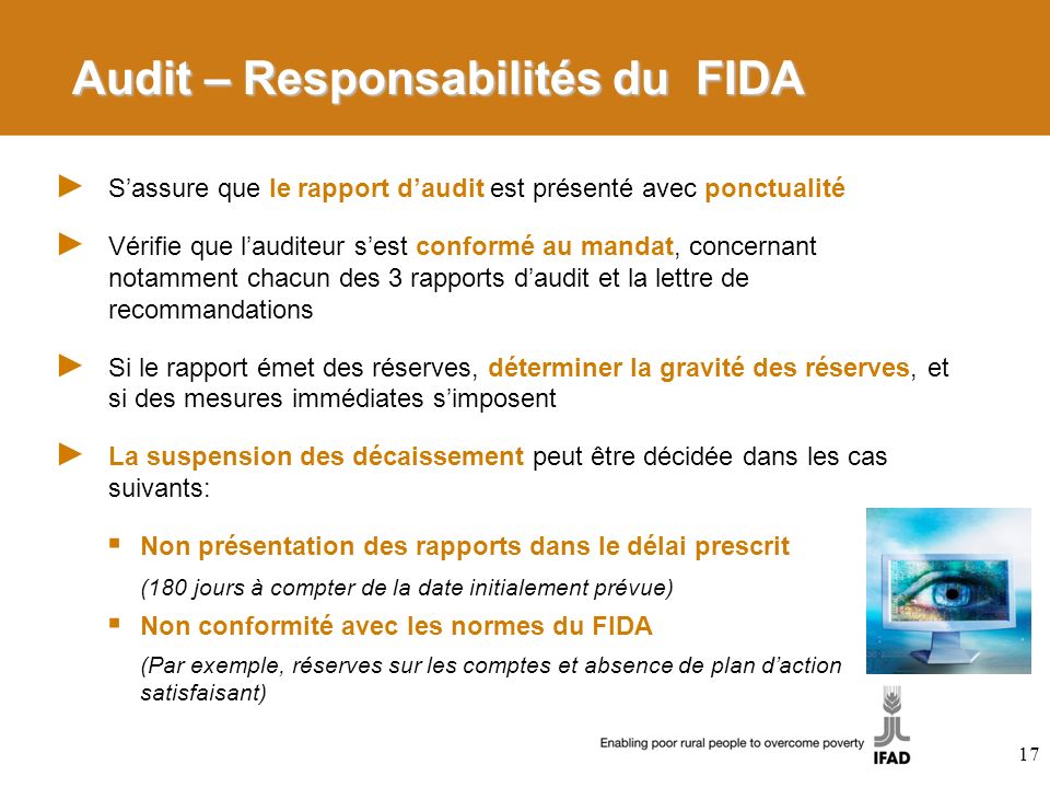 Audit – Responsabilités du FIDA