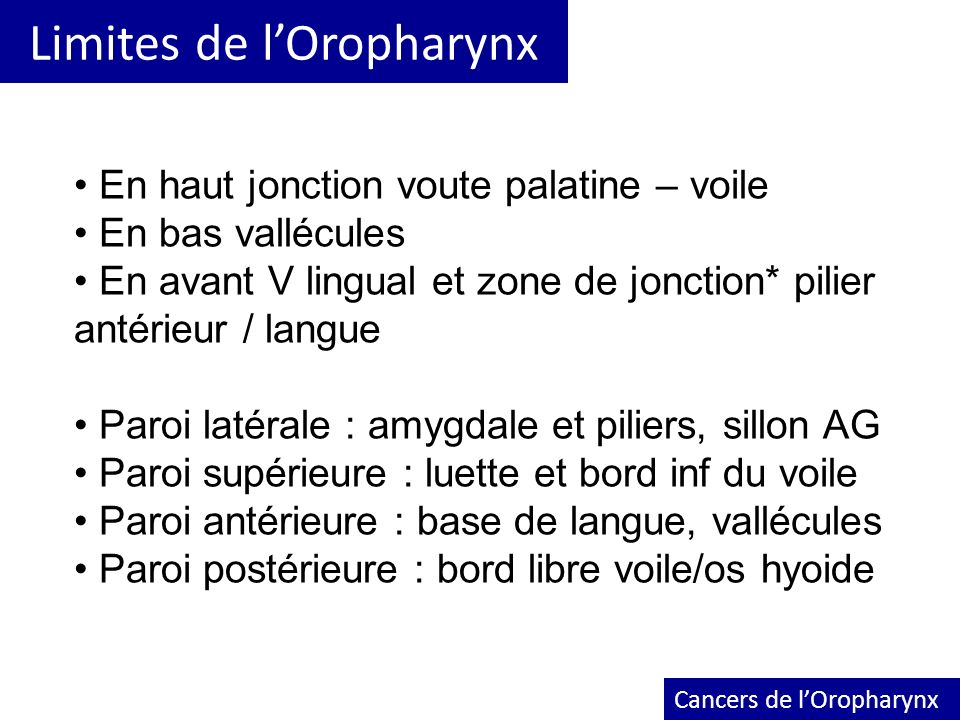 Limites de l’Oropharynx