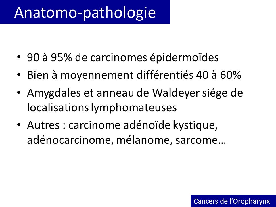 Anatomo-pathologie 90 à 95% de carcinomes épidermoïdes