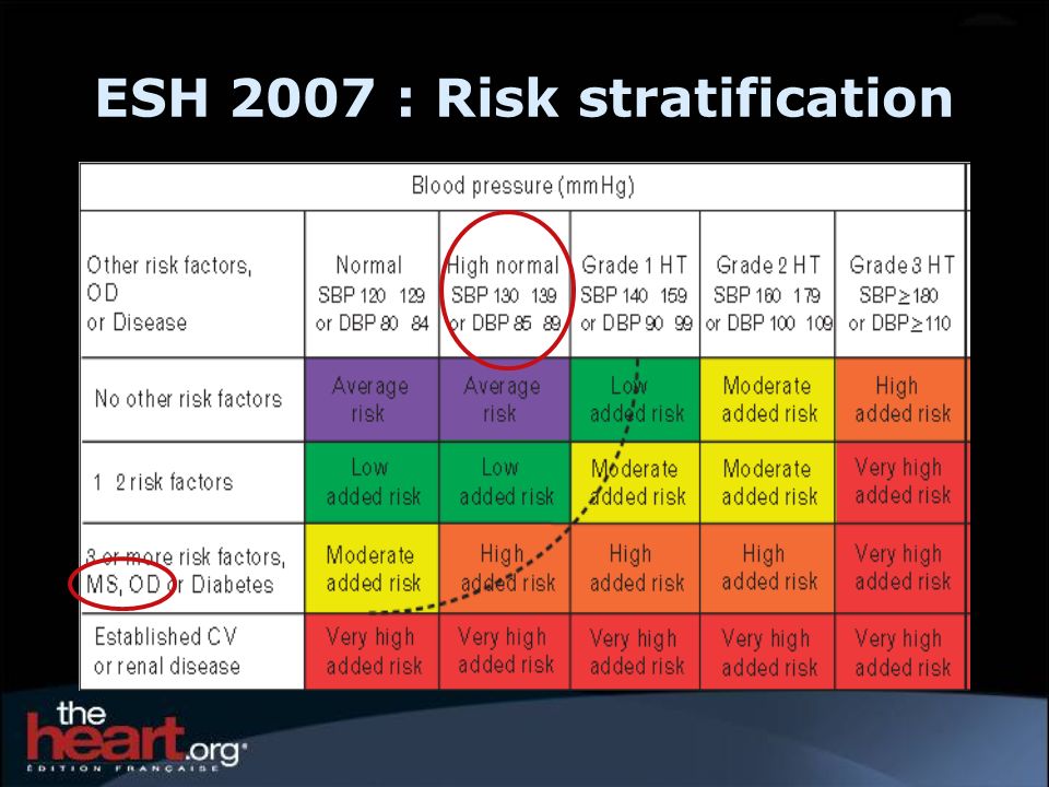 ESH 2007 : Risk stratification