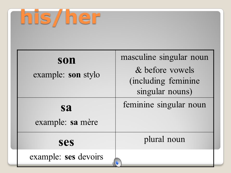 his/her son sa ses masculine singular noun