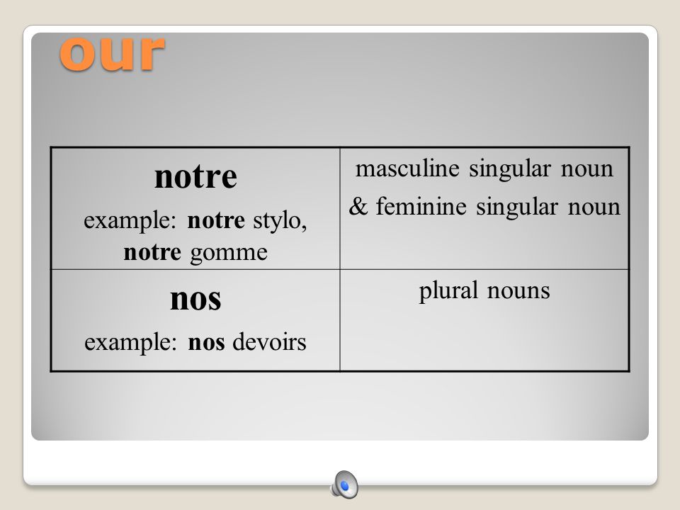 our notre nos masculine singular noun & feminine singular noun