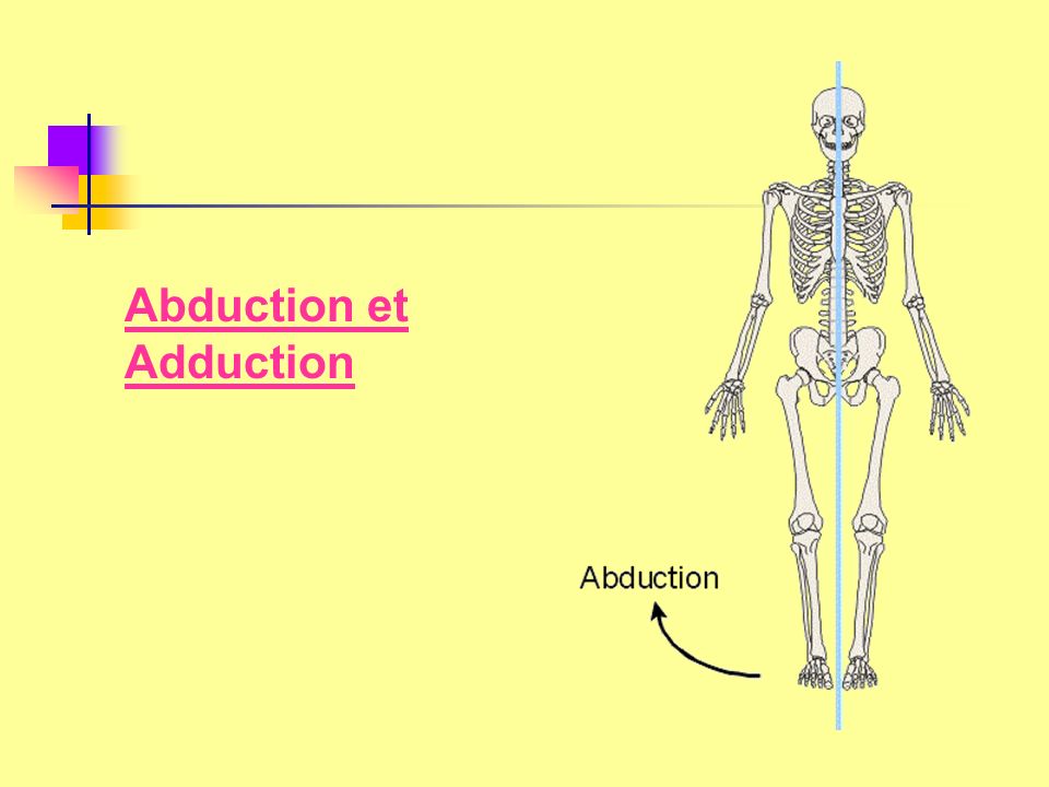 Abduction et Adduction