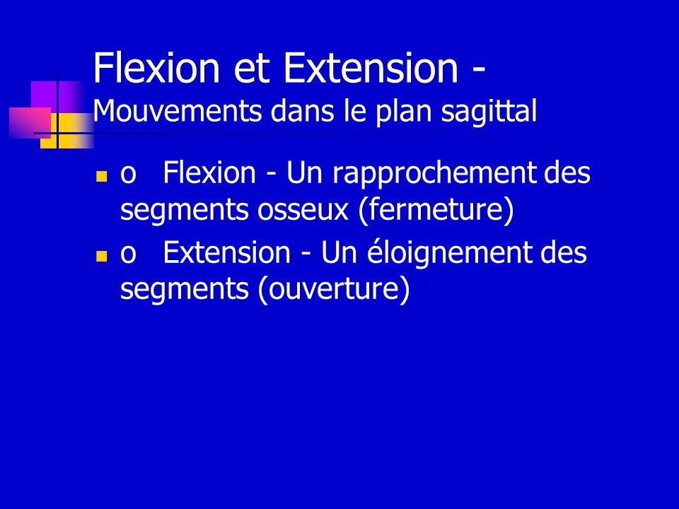 Flexion et Extension - Mouvements dans le plan sagittal
