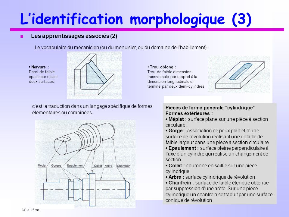 L’identification morphologique (3)