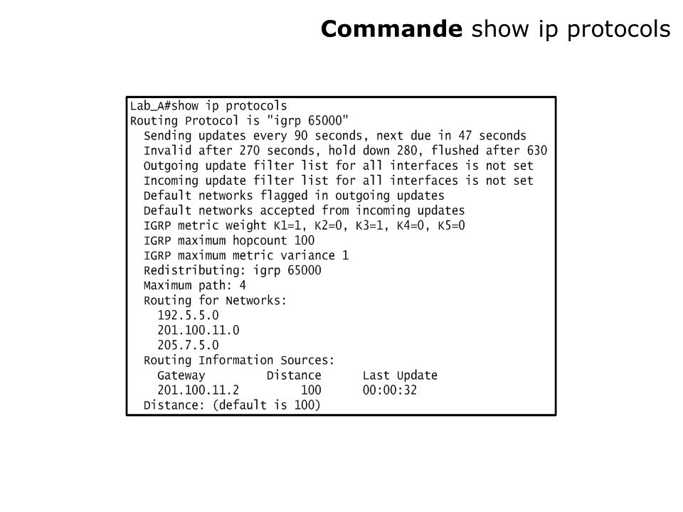 Commande show ip protocols