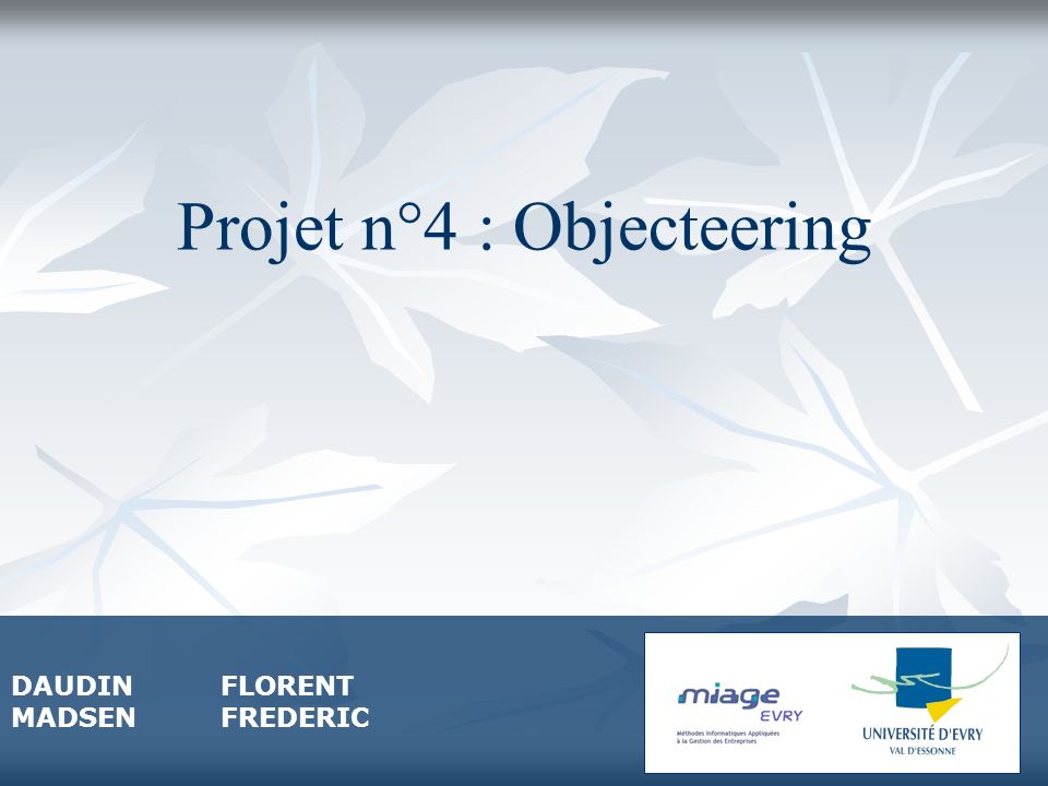 Projet n°4 : Objecteering