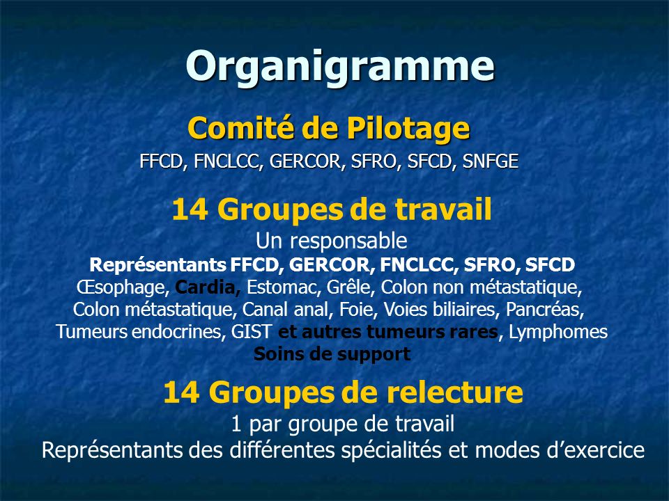 Organigramme Comité de Pilotage 14 Groupes de travail