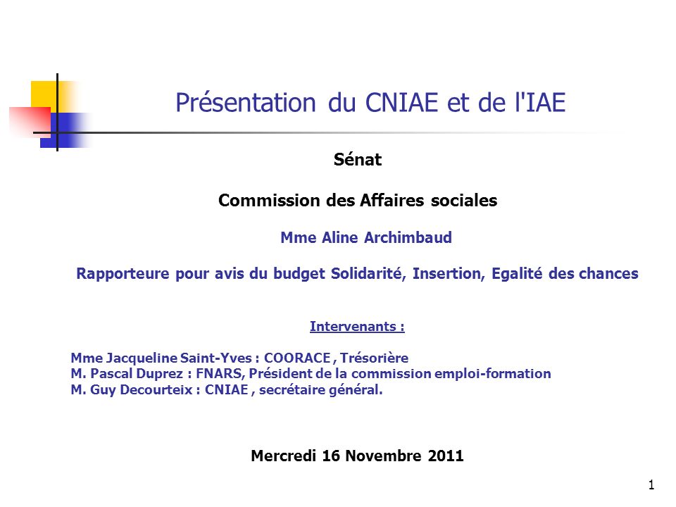 Présentation du CNIAE et de l IAE