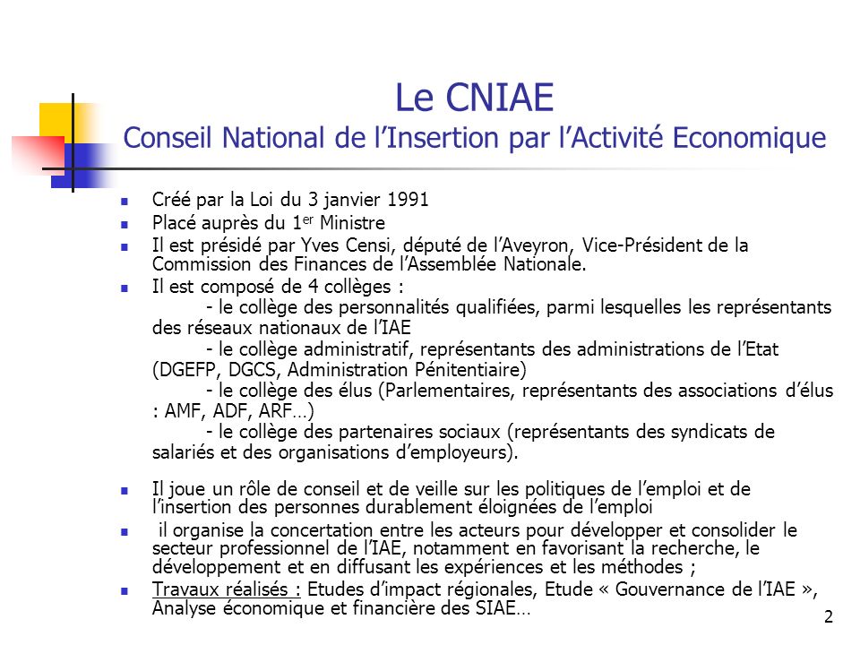 Le CNIAE Conseil National de l’Insertion par l’Activité Economique
