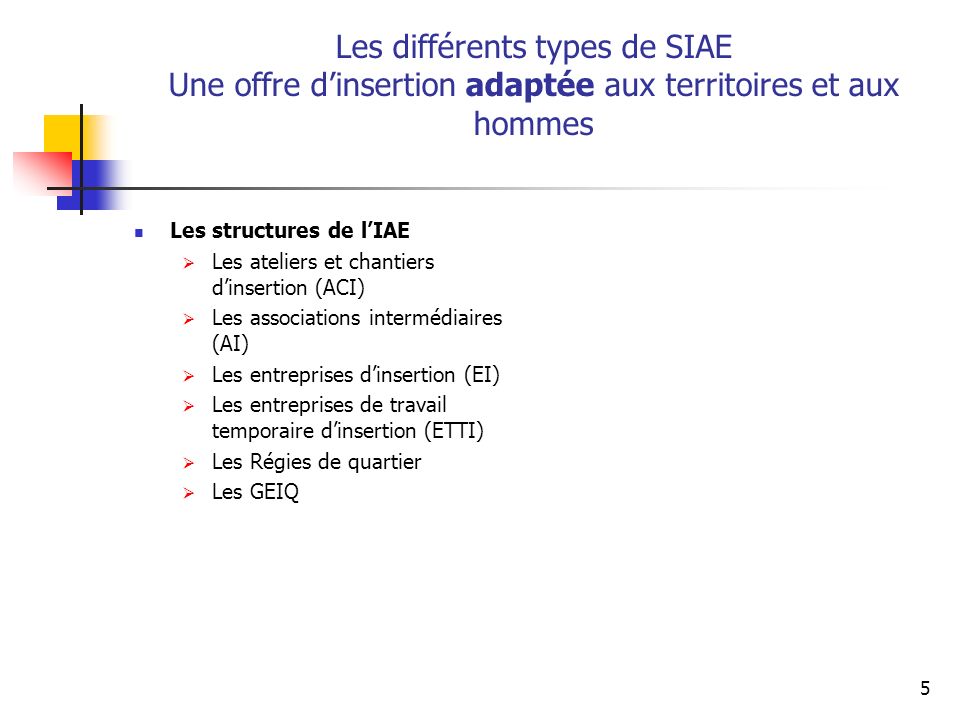 Les différents types de SIAE Une offre d’insertion adaptée aux territoires et aux hommes