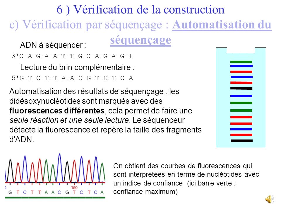 6 ) Vérification de la construction c) Vérification par séquençage : Automatisation du séquençage