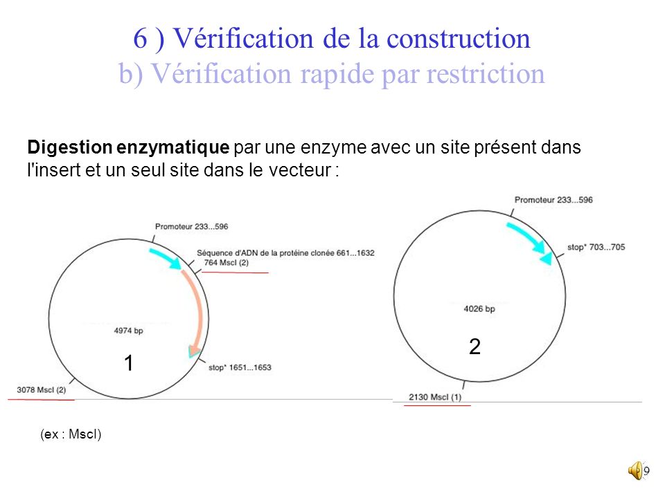 6 ) Vérification de la construction b) Vérification rapide par restriction