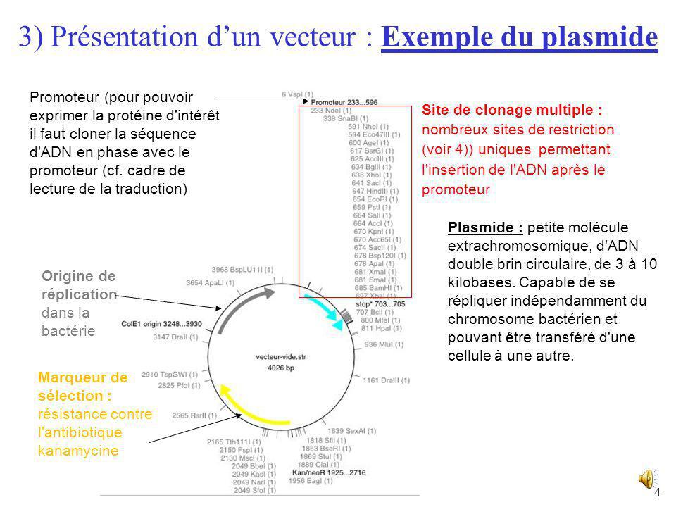 3) Présentation d’un vecteur : Exemple du plasmide