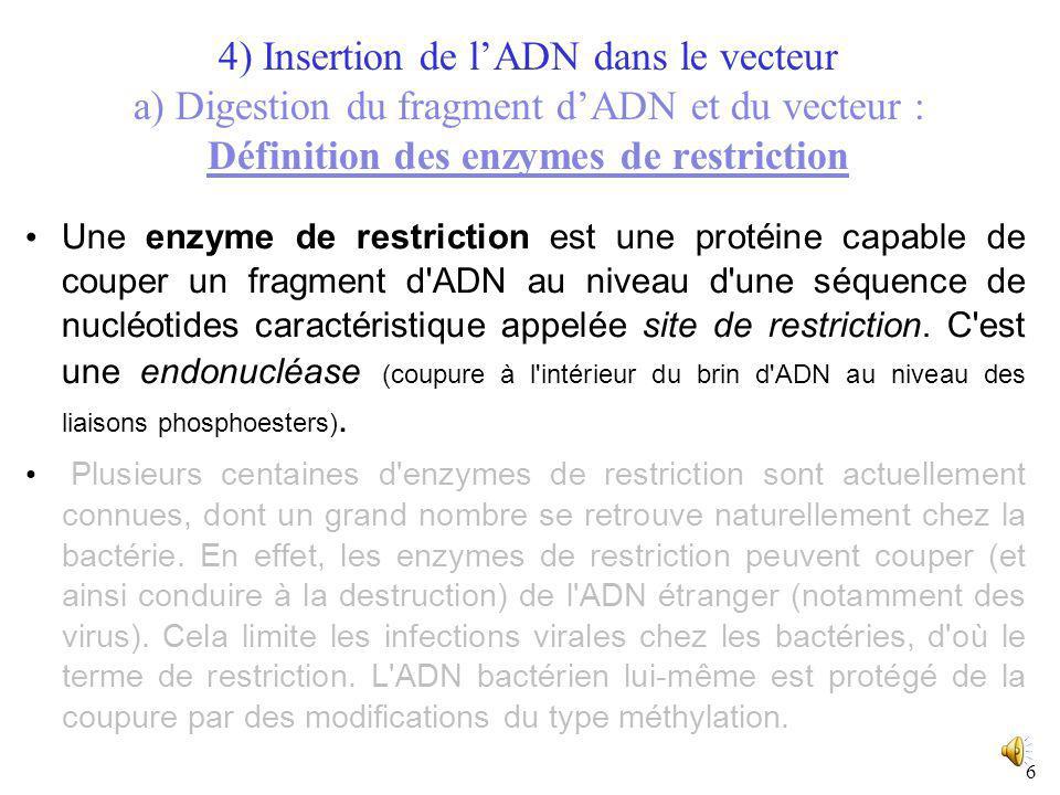4) Insertion de l’ADN dans le vecteur a) Digestion du fragment d’ADN et du vecteur : Définition des enzymes de restriction