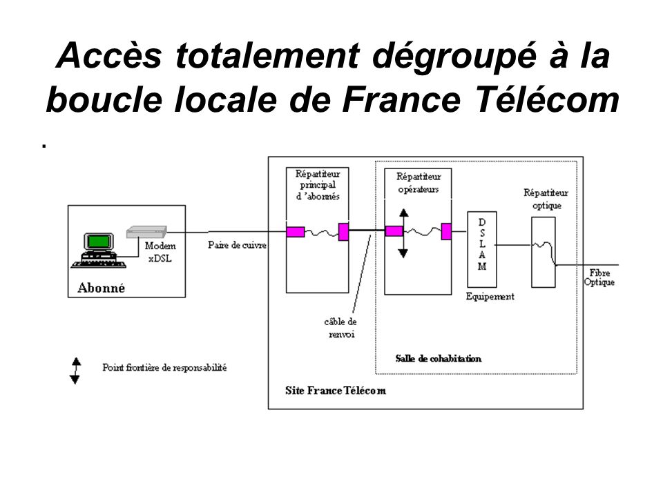 Accès totalement dégroupé à la boucle locale de France Télécom