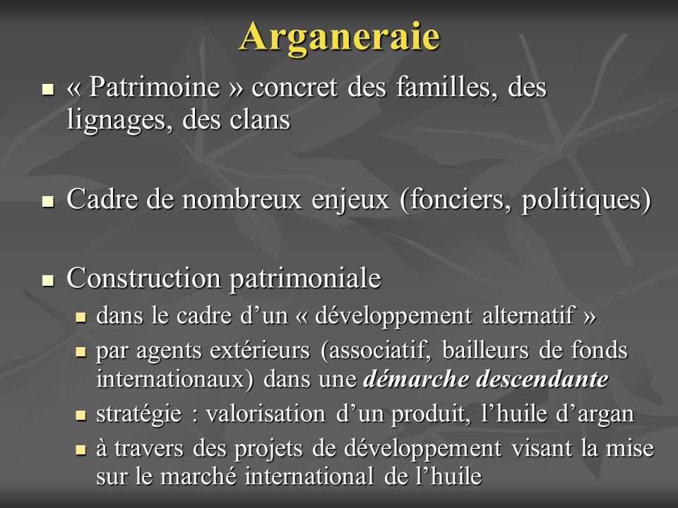 Arganeraie « Patrimoine » concret des familles, des lignages, des clans. Cadre de nombreux enjeux (fonciers, politiques)