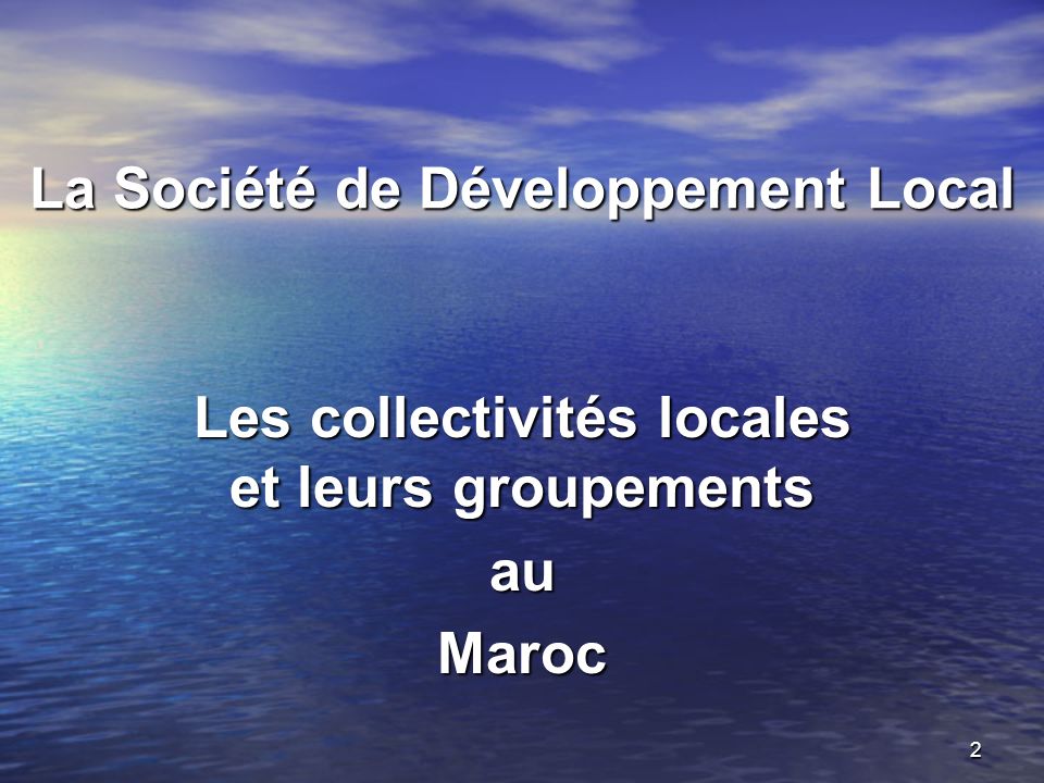 La Société de Développement Local