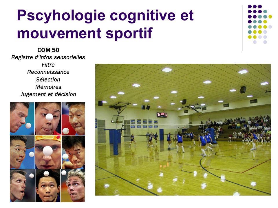 Pscyhologie cognitive et mouvement sportif