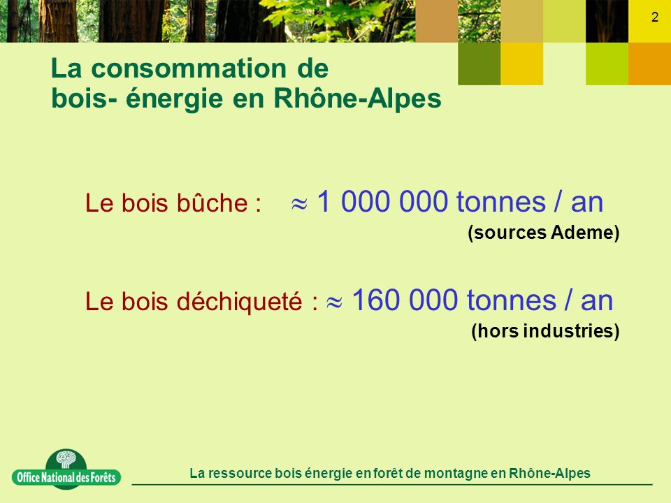 La consommation de bois- énergie en Rhône-Alpes