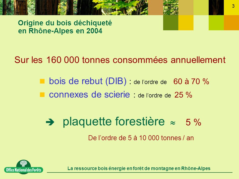 Origine du bois déchiqueté en Rhône-Alpes en 2004