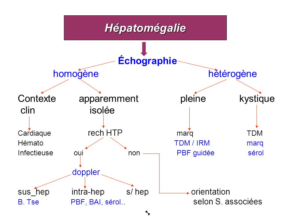 Hépatomégalie Échographie homogène hétérogène
