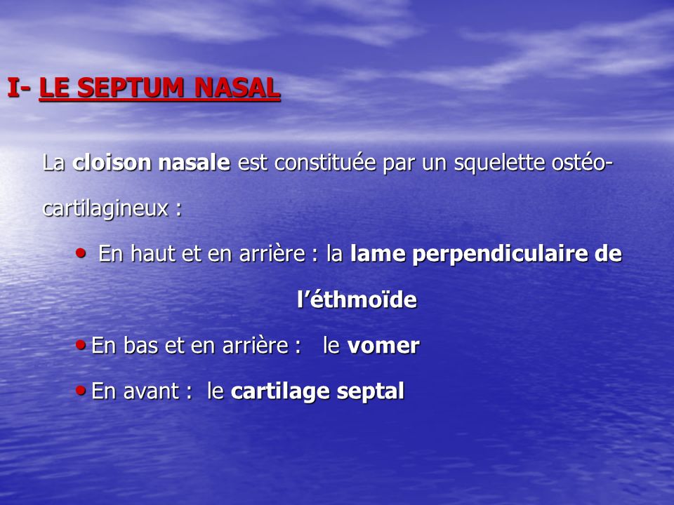 I- LE SEPTUM NASAL La cloison nasale est constituée par un squelette ostéo- cartilagineux : En haut et en arrière : la lame perpendiculaire de.