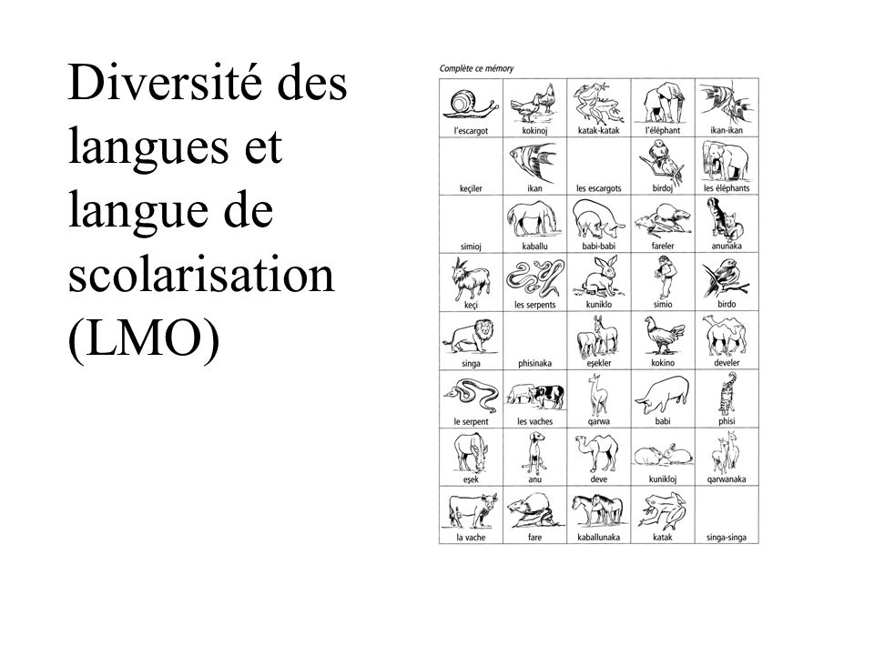 Diversité des langues et langue de scolarisation (LMO)