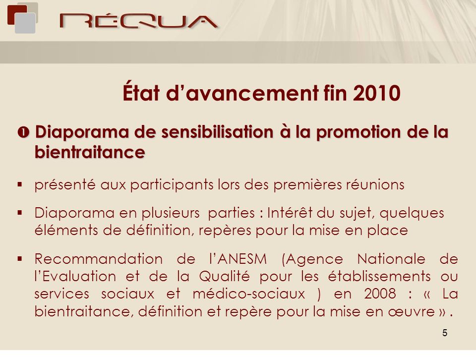 État d’avancement fin 2010  Diaporama de sensibilisation à la promotion de la bientraitance. présenté aux participants lors des premières réunions.