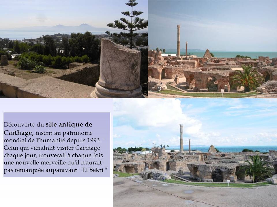 Découverte du site antique de Carthage, inscrit au patrimoine mondial de l humanité depuis 1993.