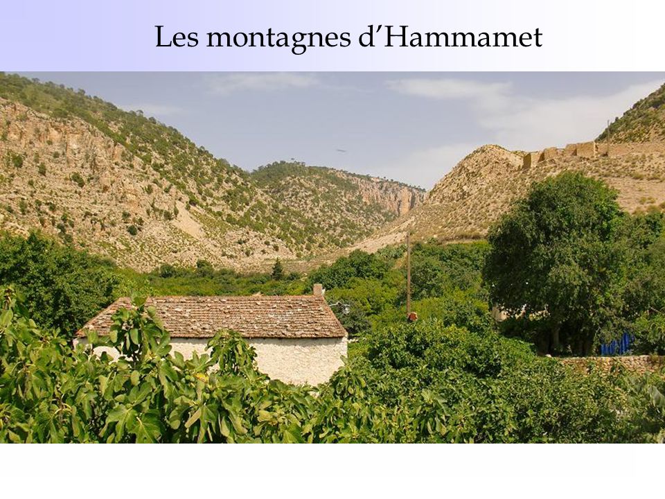 Les montagnes d’Hammamet