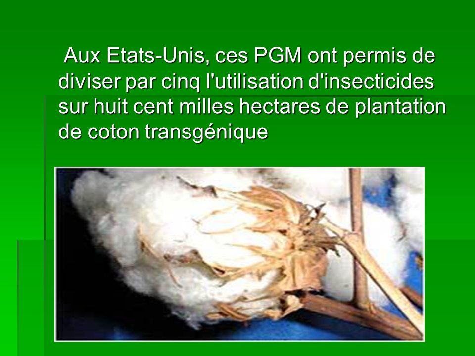 Aux Etats-Unis, ces PGM ont permis de diviser par cinq l utilisation d insecticides sur huit cent milles hectares de plantation de coton transgénique