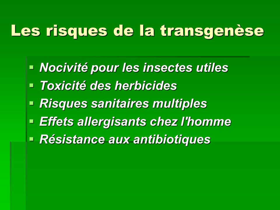 Les risques de la transgenèse