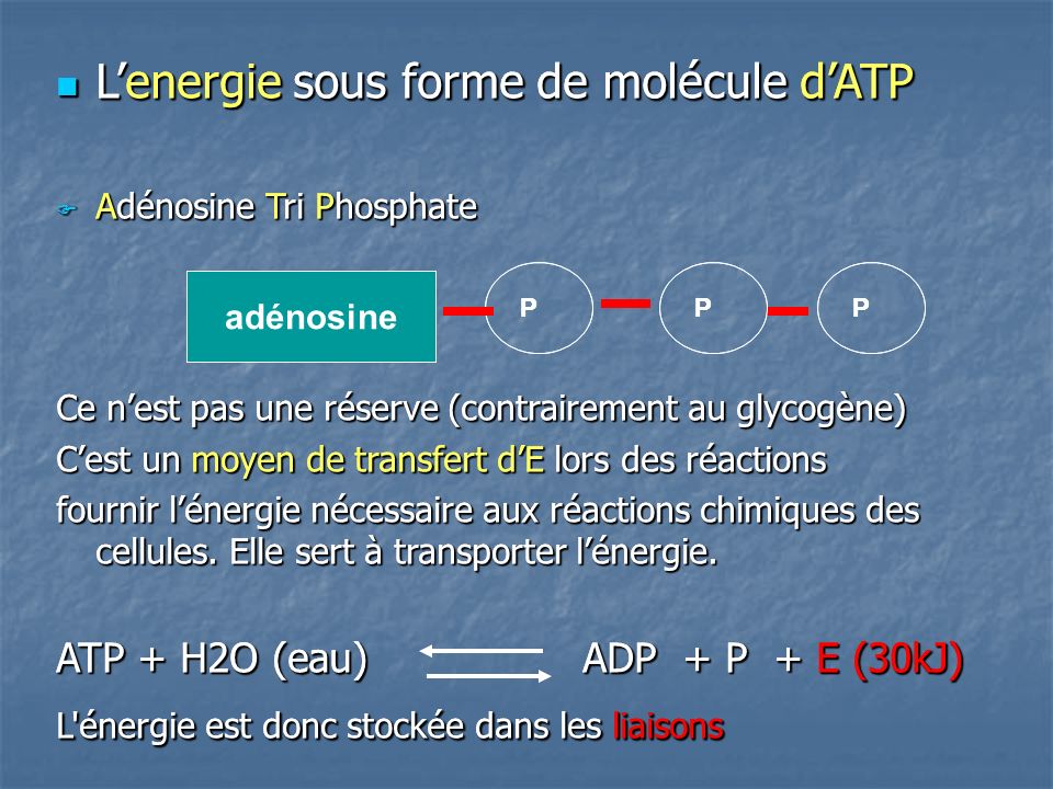 L’energie sous forme de molécule d’ATP