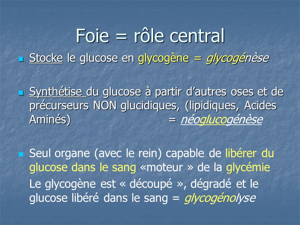 Foie = rôle central Stocke le glucose en glycogène = glycogénèse