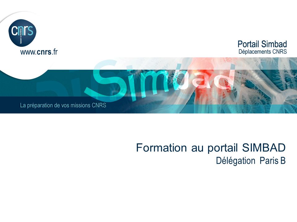 Formation au portail SIMBAD