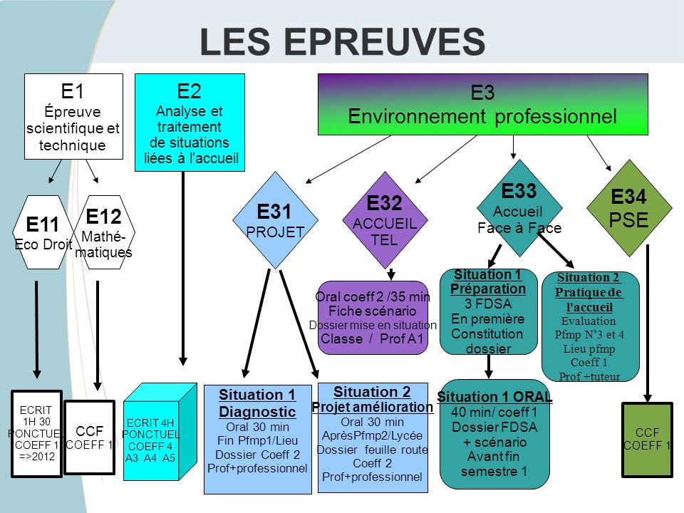 LES EPREUVES E1 E2 E3 Environnement professionnel E33 E34 PSE E31 E32