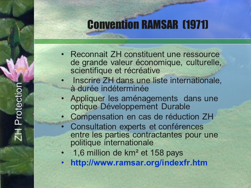 Convention RAMSAR (1971) Bullet Point Slide ZH Protection