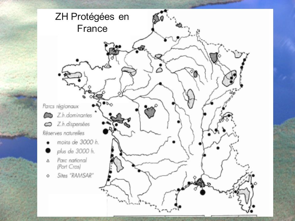 ZH Protégées en France