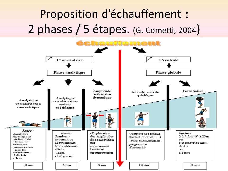 Proposition d’échauffement : 2 phases / 5 étapes. (G. Cometti, 2004)
