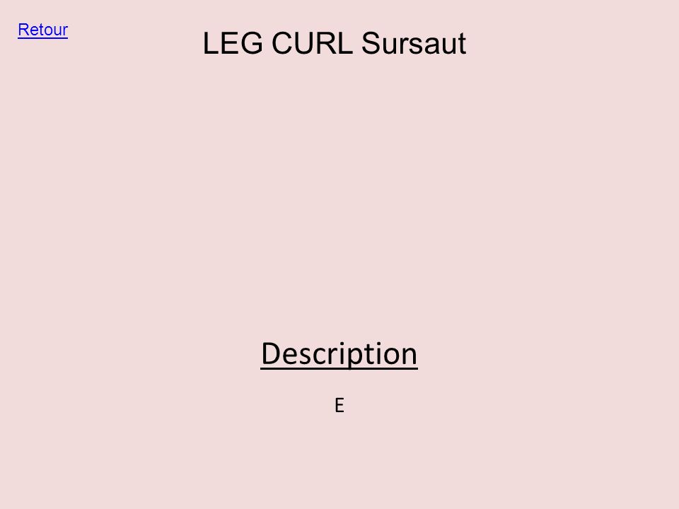 Retour LEG CURL Sursaut Description E