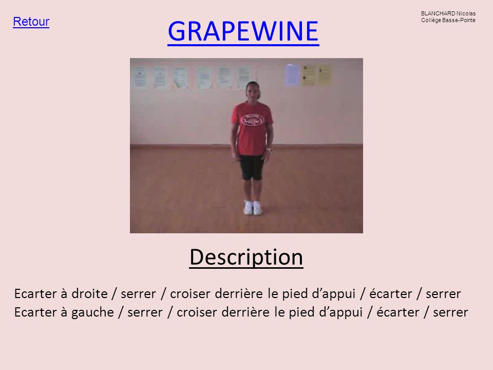 GRAPEWINE Description